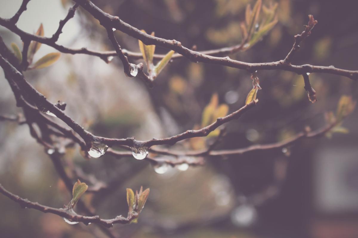 梅雨時期の体調不良、あなたもお困りではないですか？