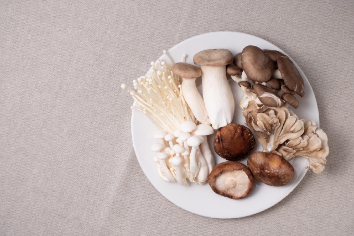 健やかな秋を迎えるための「食養生」:旬の恵みで心と体を整えよう