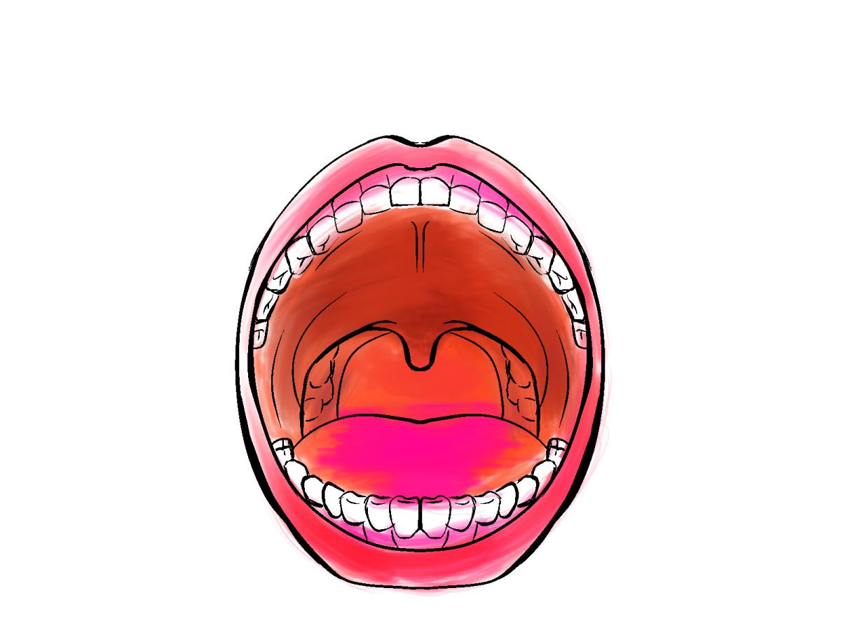 扁桃腺について知っておこう!