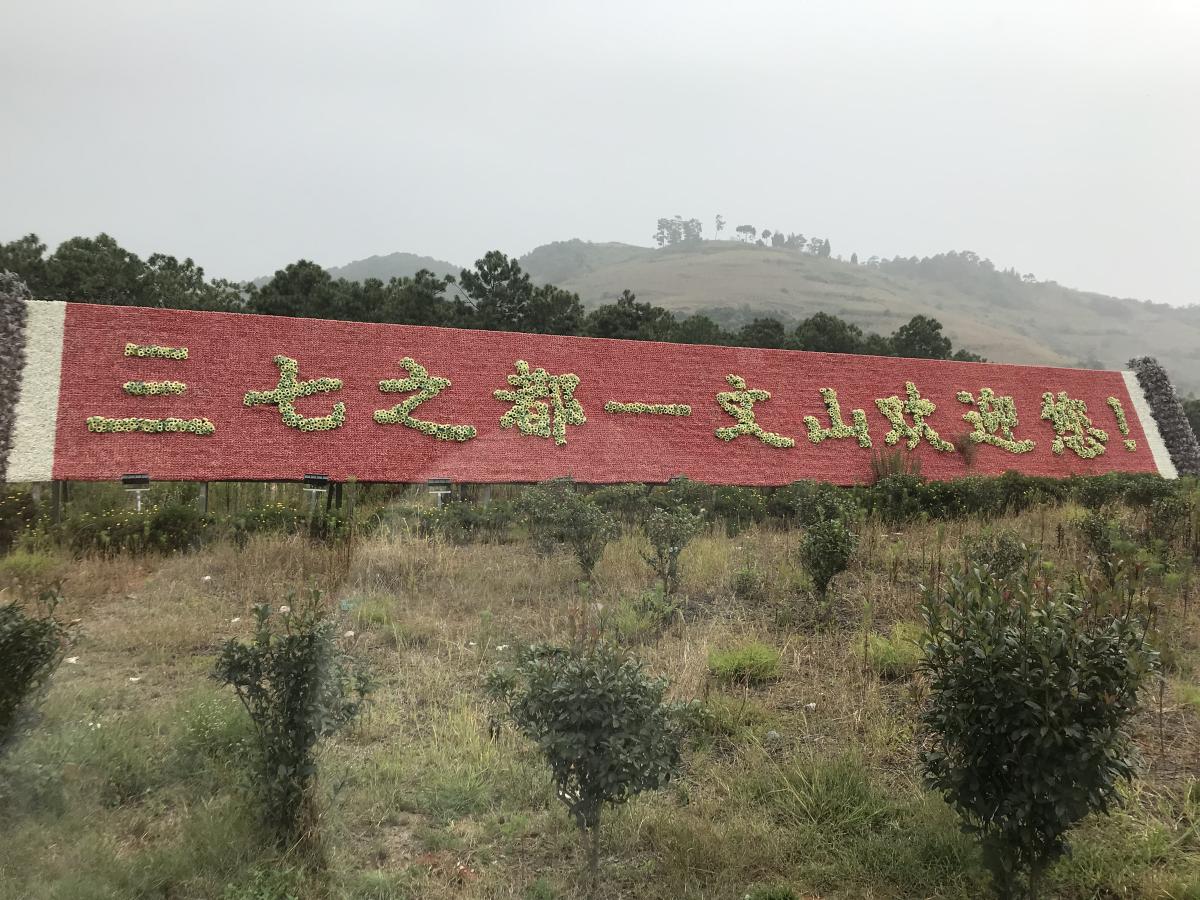 三七人参の原産地　文山研修旅行記　後編